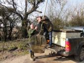 Weighing in the new arrivals