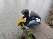 Phil putting new tench into the Match Lake