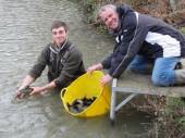 This is Phil with Tom from Priory Fisheries with some of our fabulous new green tench.